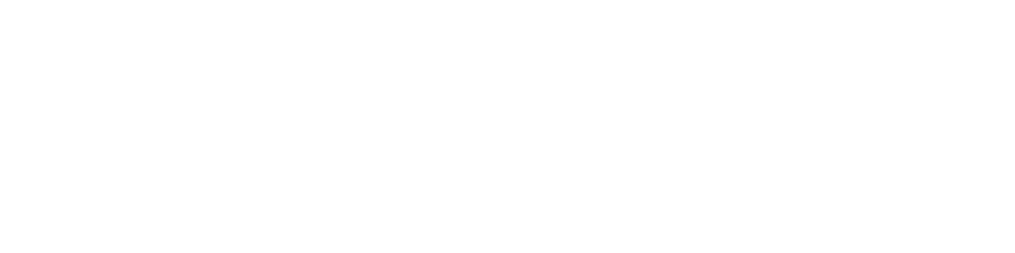Portal shihtzu.com.pl